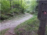 Križe - Planica (Paragliding site Gozd)